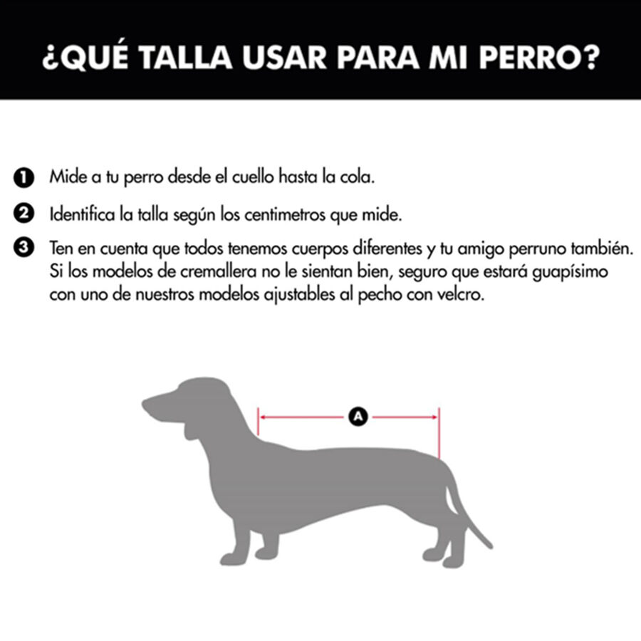 Outech Abrigo Estampado Vichy Azul para perros, , large Imagen numero 8