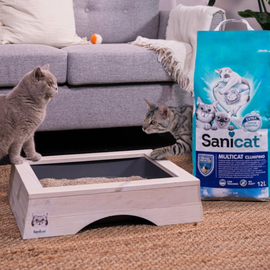 12 L Sanicat Multicat Cumpling Aire Fresco Arena para gatos, , large Imagen numero 5