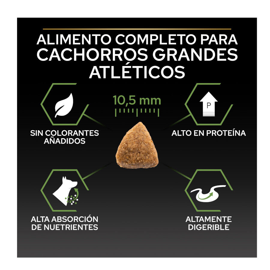 12 kg Pro Plan Puppy Large Athletic Pollo pienso para perros, , large Imagen numero 4