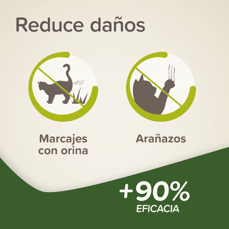 Beaphar Spray Educador Exteriores para Gatos, , large indicador imagen numero 4