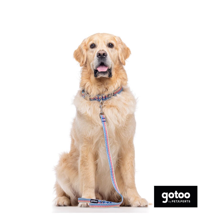 Gotoo Collar estampado rayas zig-zag para perros, , large indicador imagen numero 4