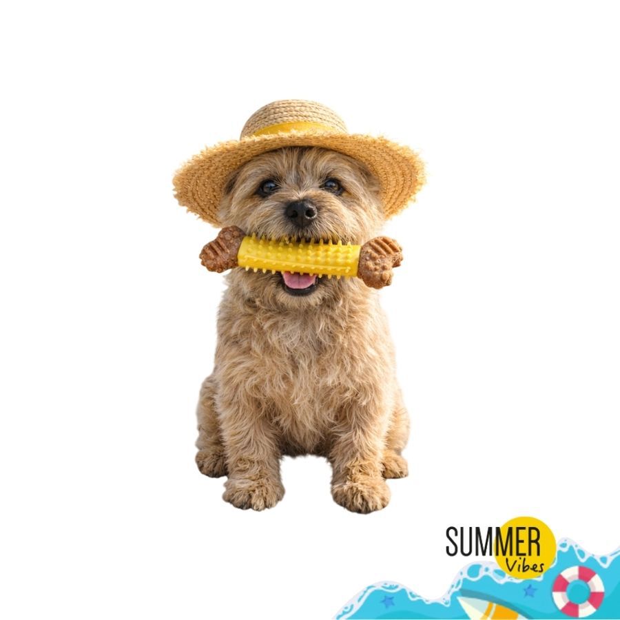 Summer Vibes Mordedor Hueso Juguete para perros, , large indicador imagen numero 7