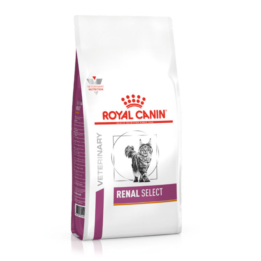 4 kg Royal Canin Veterinary Renal Select pienso para gatos, , large Imagen numero 2