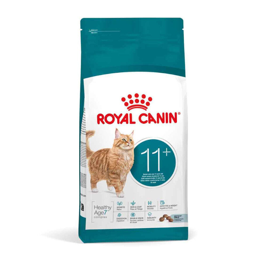 4 kg Royal Canin Ageing 11+ pienso para gatos&nbsp;senior, , large indicador imagen numero 2