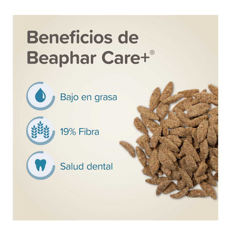 Beaphar Care+ pienso para chinchillas, , large Imagen numero 3