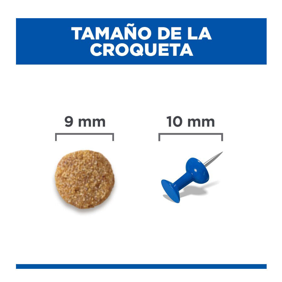 10 kg Hill's Science Plan Adult Pienso Salm&oacute;n para gatos, , large indicador imagen numero 9