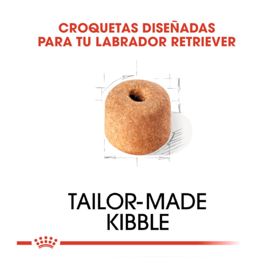 12 kg Royal Canin Adult Labrador Retriever pienso para perros, , large Imagen numero 5