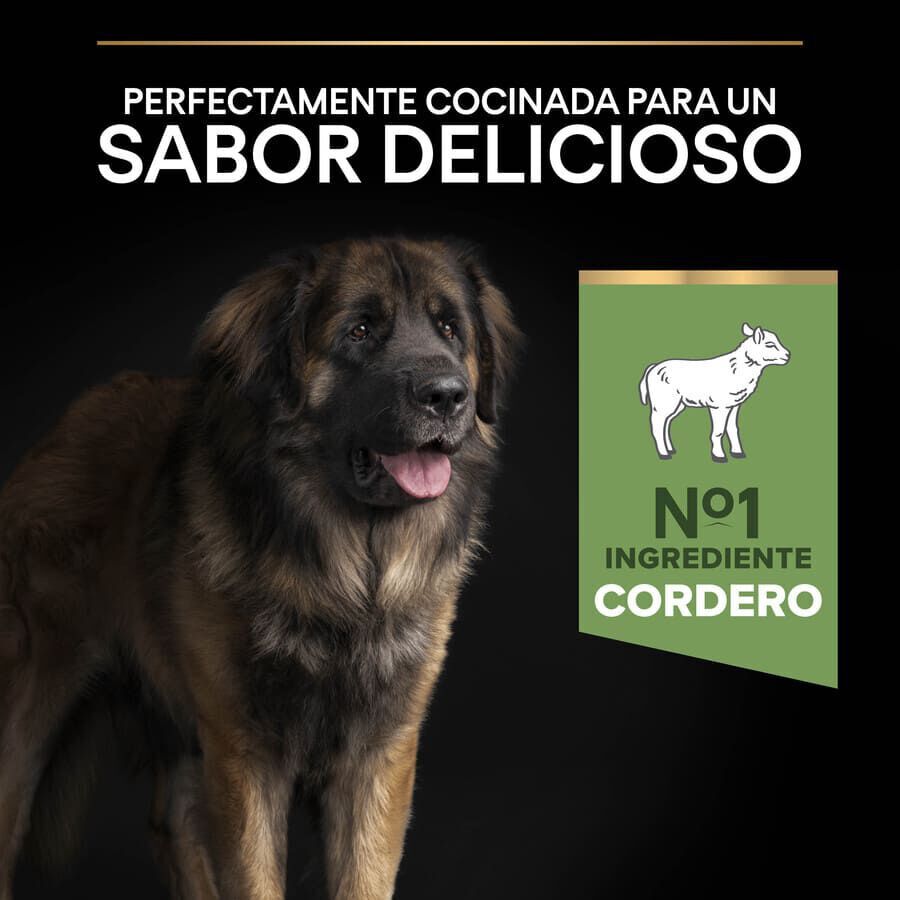 14 kg Pro Plan Adult Large Robust Digesti&oacute;n Cordero pienso para perros, , large Imagen numero 7