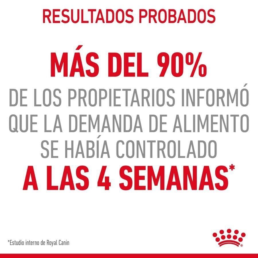 10 kg Royal Canin Appetite Control Care pienso para gatos, , large indicador imagen numero 5