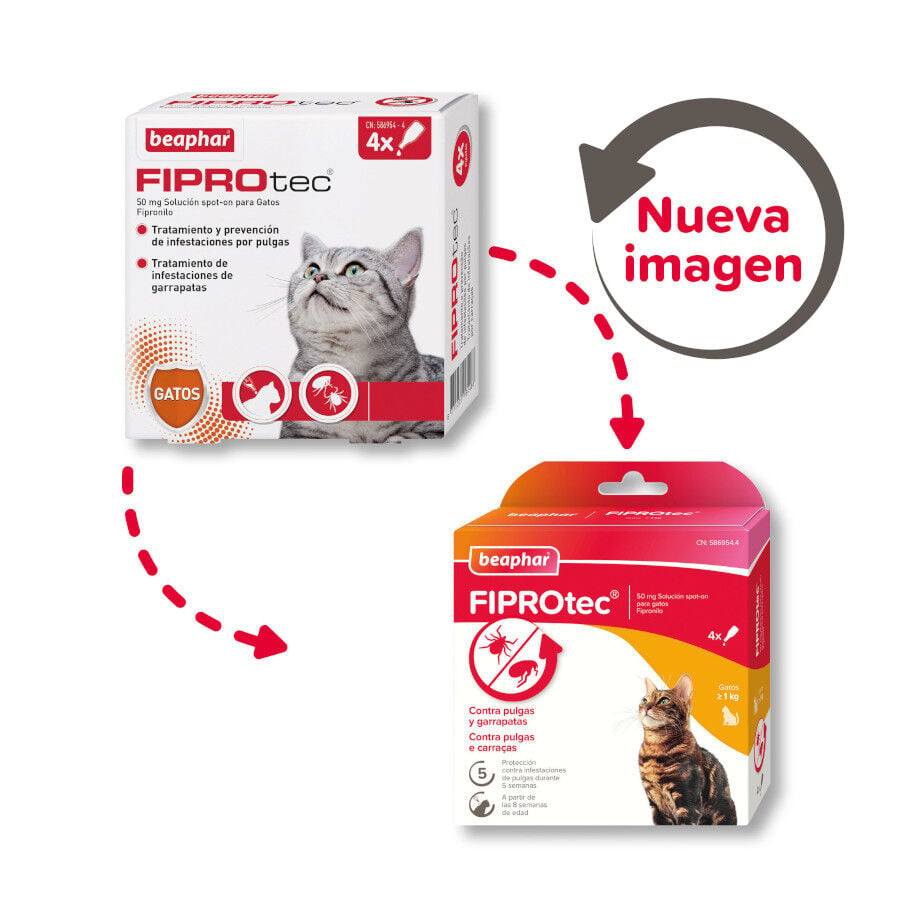Beaphar Fiprotec Pipetas Antiparasitarias para gatos, , large Imagen numero 2