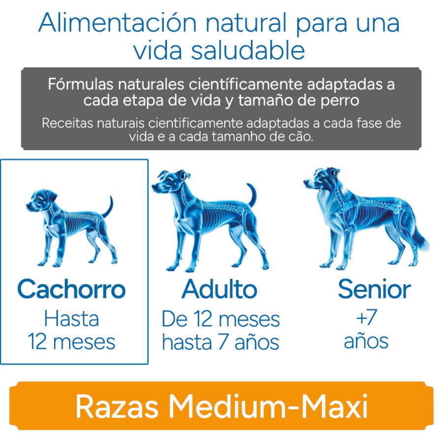 12 kg Criadores Cient&iacute;fico Medium Maxi Pienso Pollo para cachorros, , large Imagen numero 11