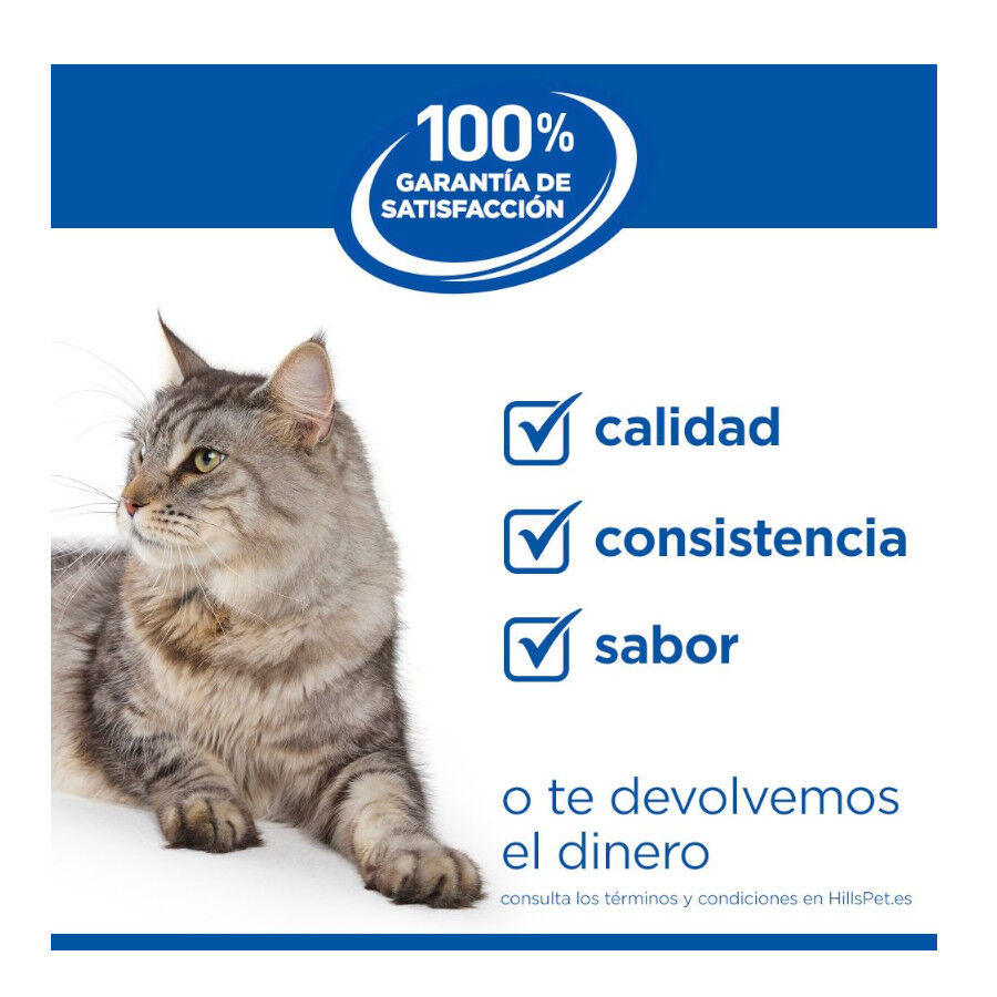 10 kg Hill's Science Plan Adult Pienso Salm&oacute;n para gatos, , large indicador imagen numero 11