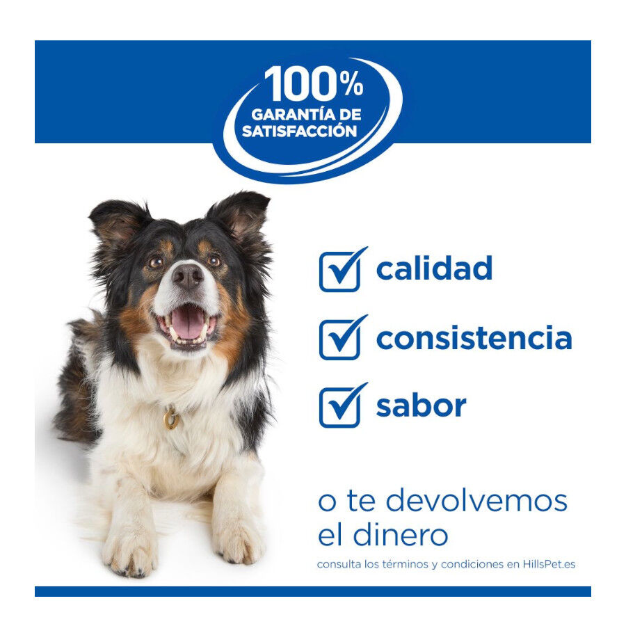 18 kg Hill's Science Plan Adult Large Pollo pienso para perros, , large Imagen numero 10