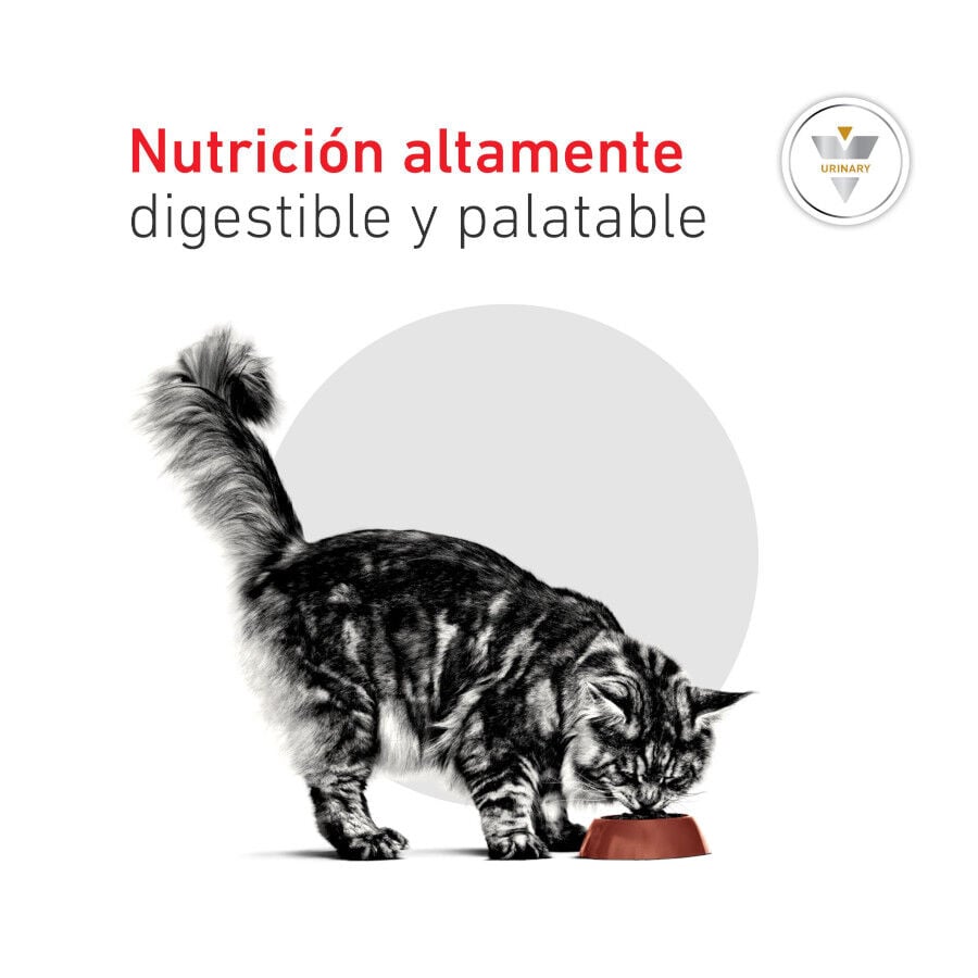 9 kg Royal Canin Veterinary Urinary S/O Moderate Calorie pienso para gatos, , large indicador imagen numero 9