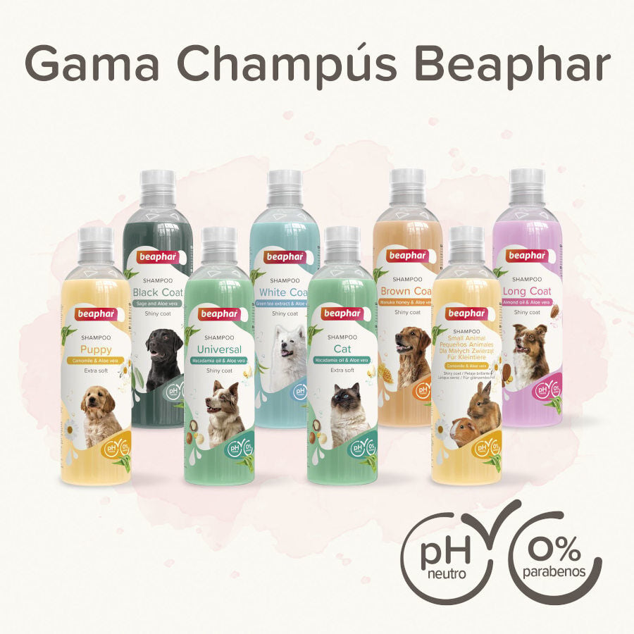Beaphar Champ&uacute; Extra Suave para gatos, , large Imagen numero 4