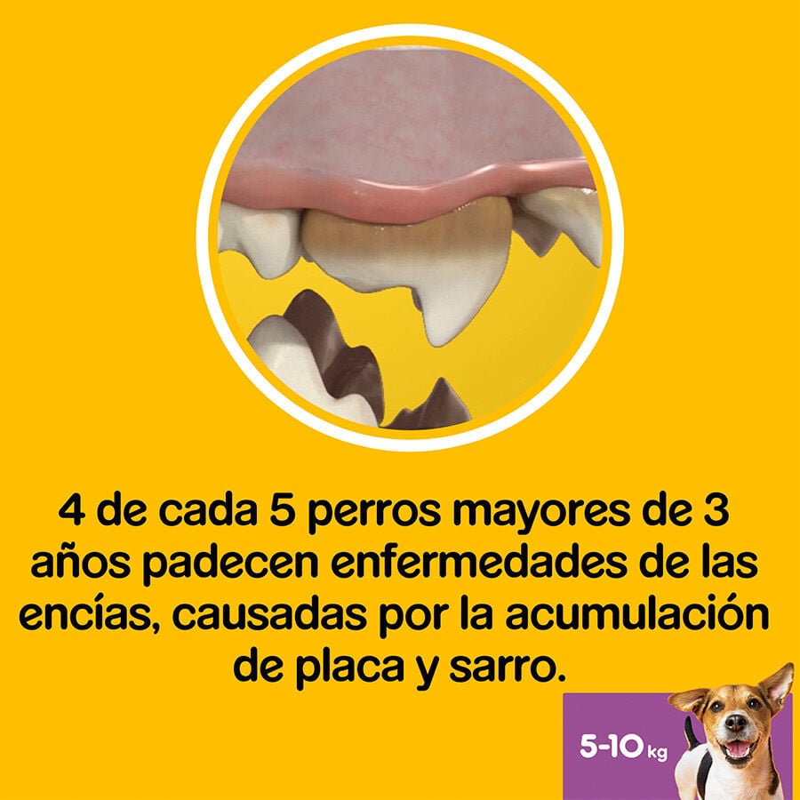 28 barritas Pedigree Dentastix Fresh Snacks Dentales para Perros Peque&ntilde;os, , large Imagen numero 7