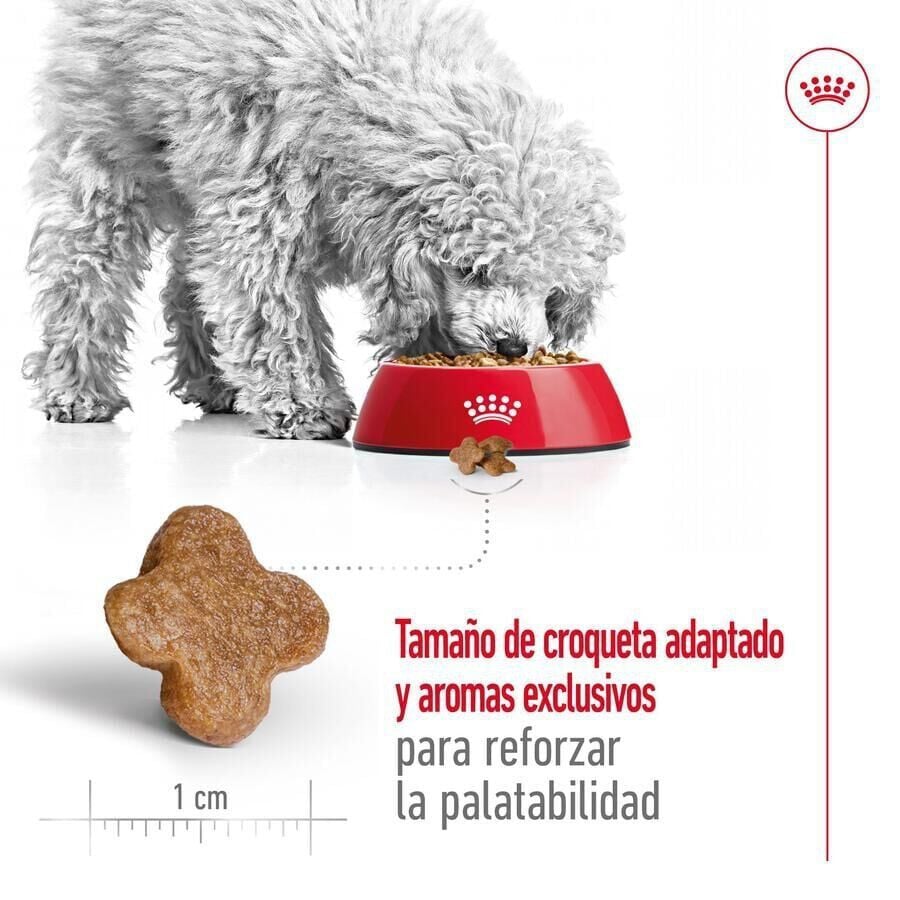 8 kg Royal Canin Mini 8+ Adult pienso para perros, , large Imagen numero 7