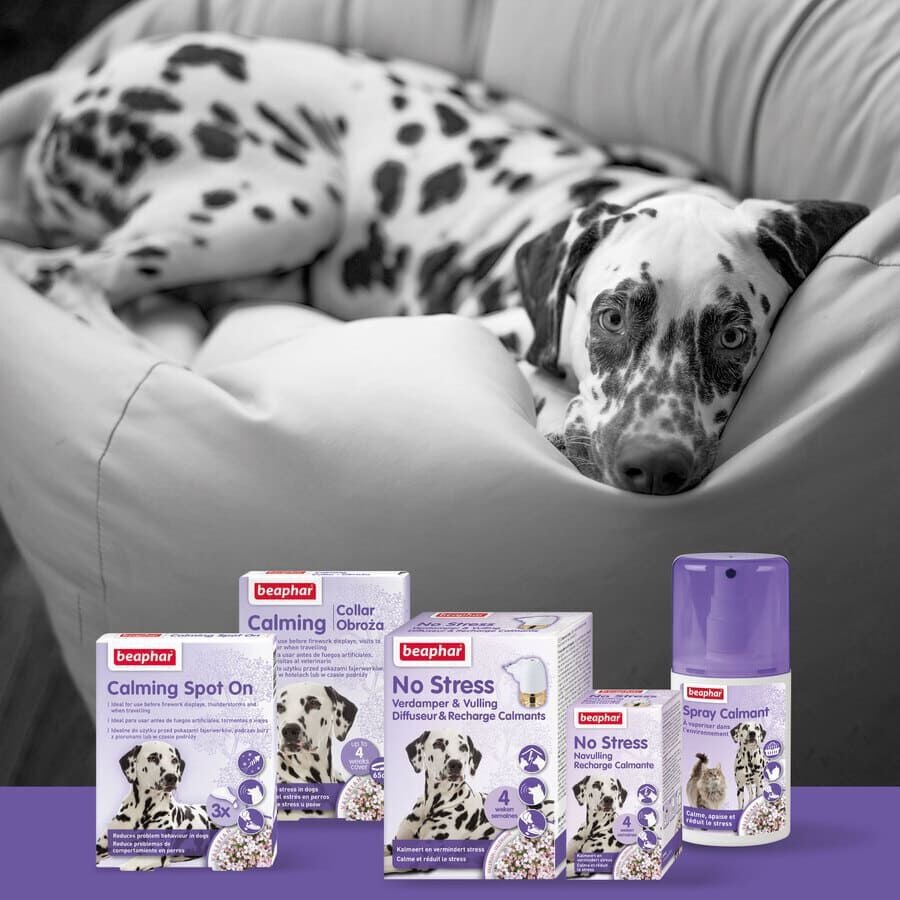 Beaphar No-Stress Difusor de Recambio Anti estr&eacute;s para perros, , large indicador imagen numero 5