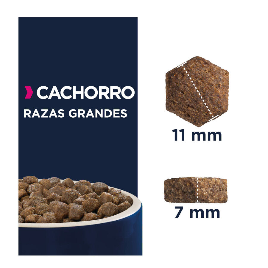 3 kg Eukanuba Puppy Large Pollo pienso para perros, , large indicador imagen numero 3