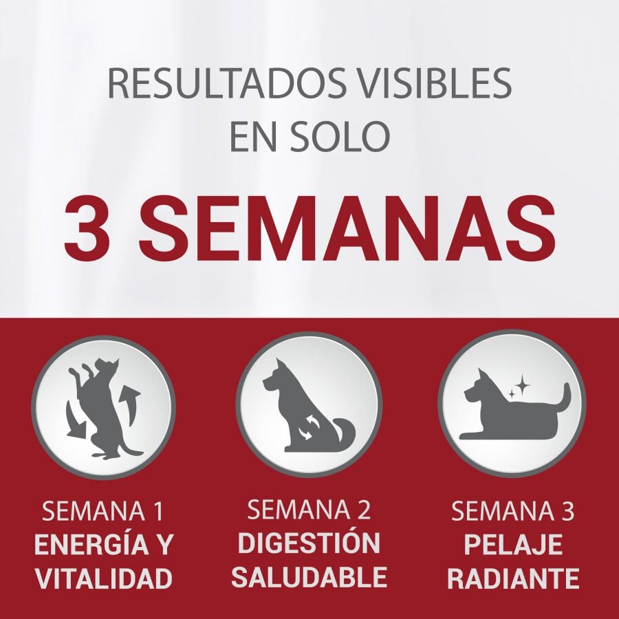 1.5 kg Purina One Adult Mini Weight Control Sterilised Pavo y Arroz pienso para perros, , large Imagen numero 3
