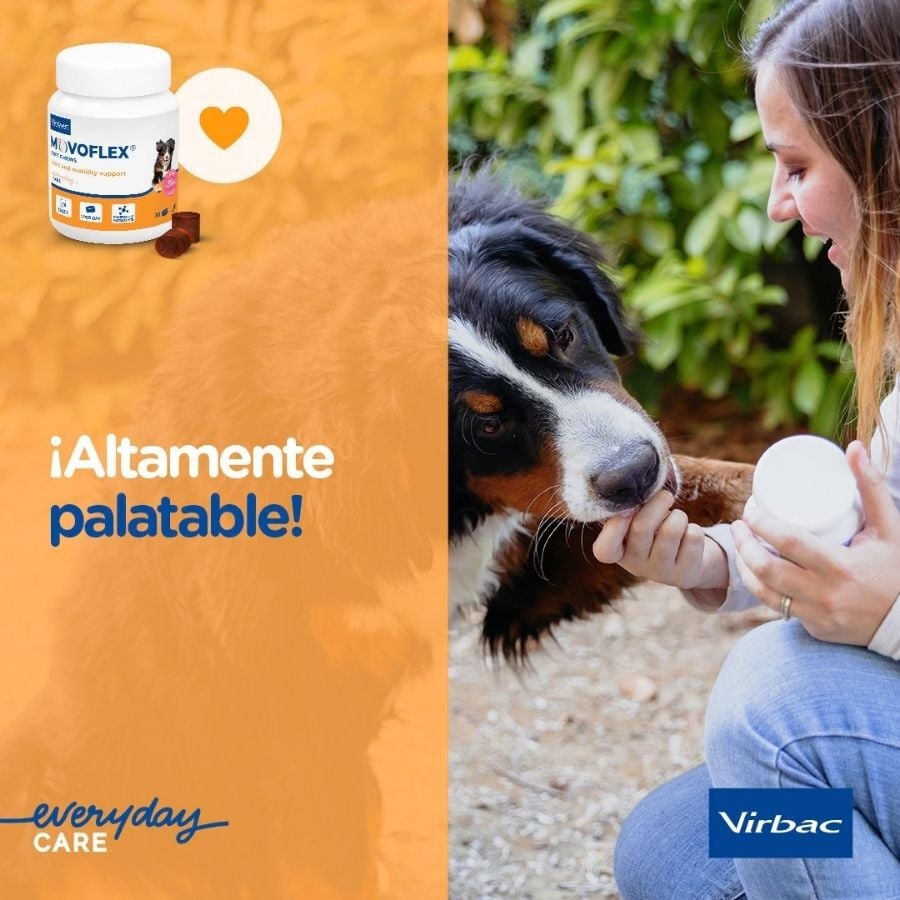 Virbac Movoflex Condroprotector para perros, , large Imagen numero 12