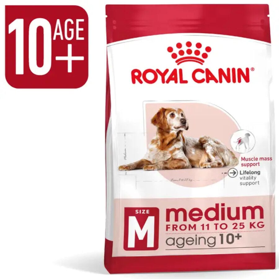 15 kg Royal Canin Medium 10+ Ageing pienso para perros&nbsp;senior, , large indicador imagen numero 3