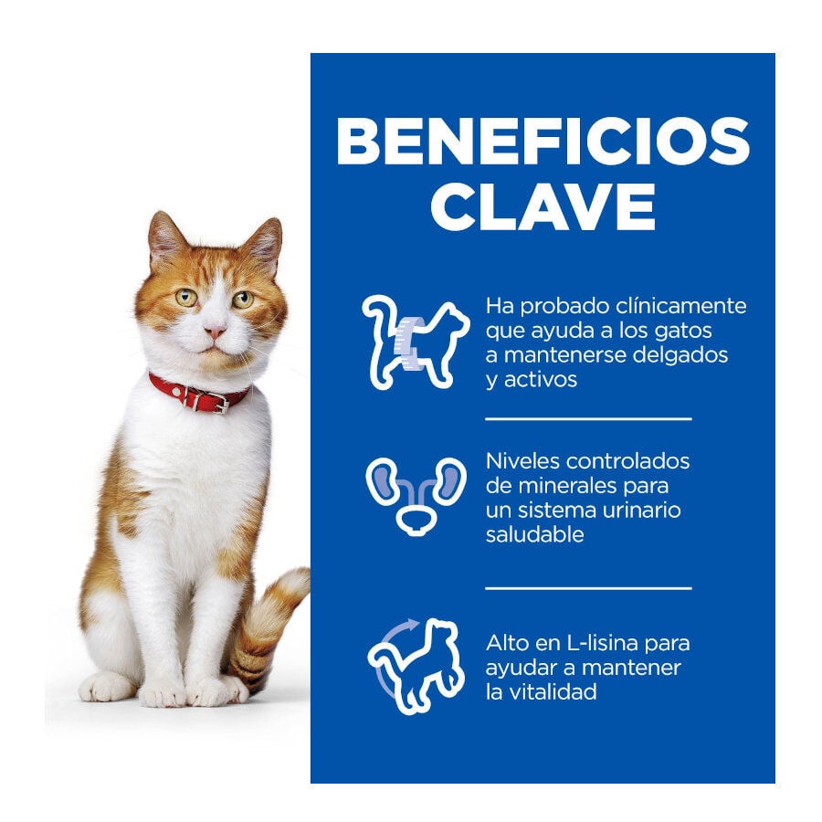 12 sobres x 85 g Hill's Science Plan Sterilised Carne y Pescado sobre para gatos , , large indicador imagen numero 4