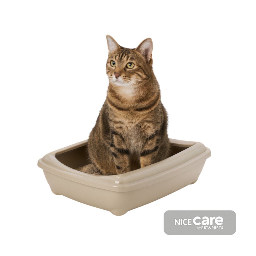 Nice Care Bandeja Sanitaria Beige para gatos 