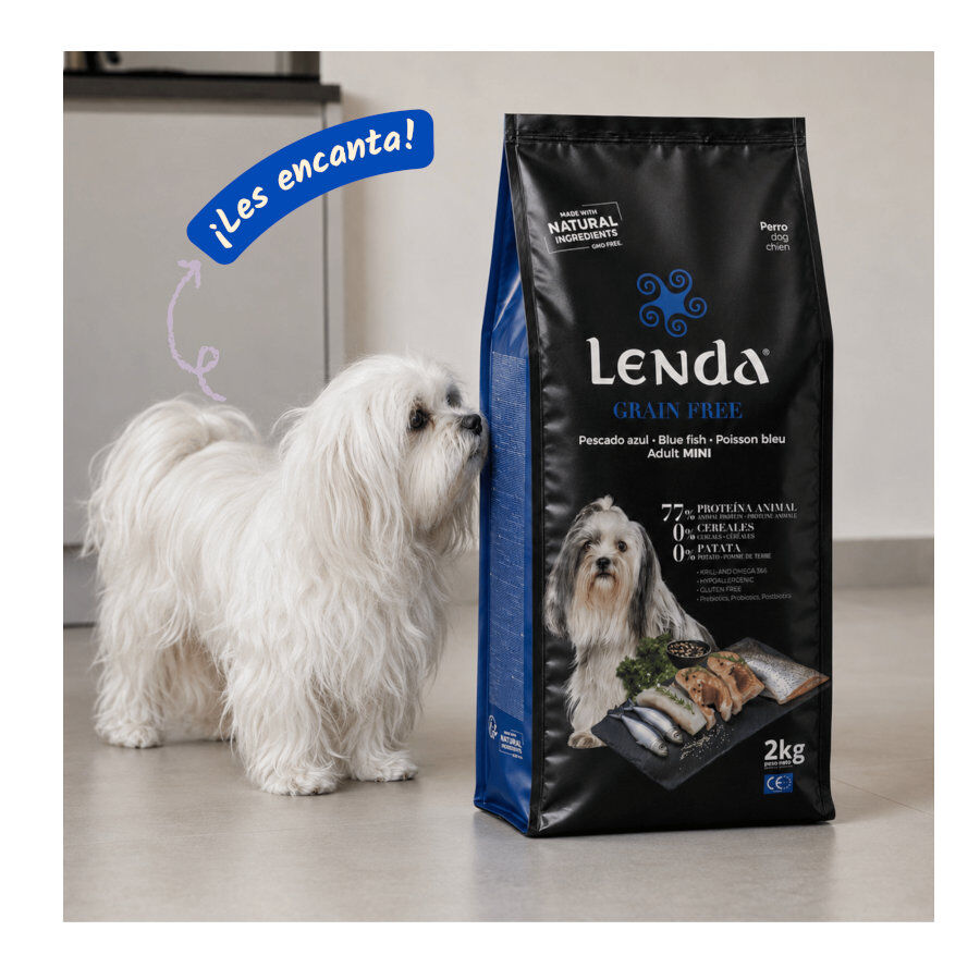 2 Kg Lenda Grain Free Pescado y Krill pienso para perros de razas mini, , large Imagen numero 5