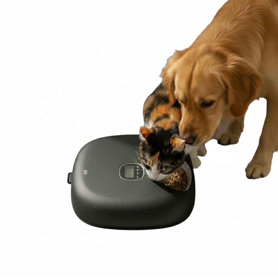 All For Paws Lifestyle Comedero Autom&aacute;tico Negro para perros y gatos, , large indicador imagen numero 4