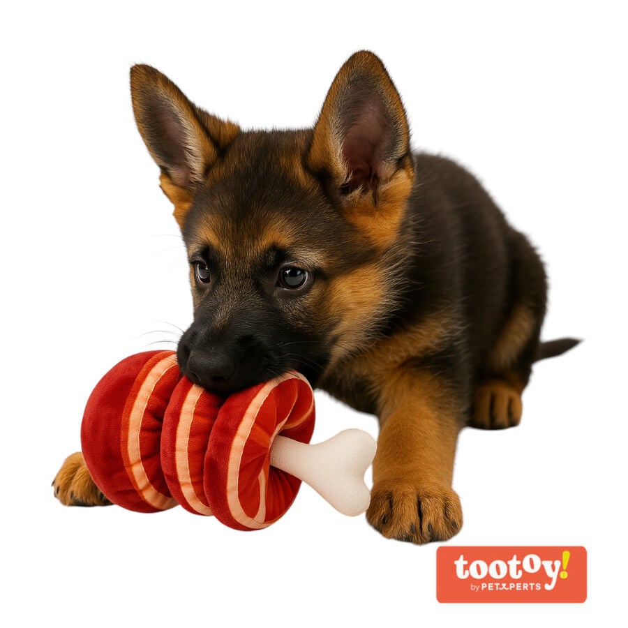 Tootoy! Comfort Beefy Thigh Cuddler peluche con sonido para perros, , large indicador imagen numero 2