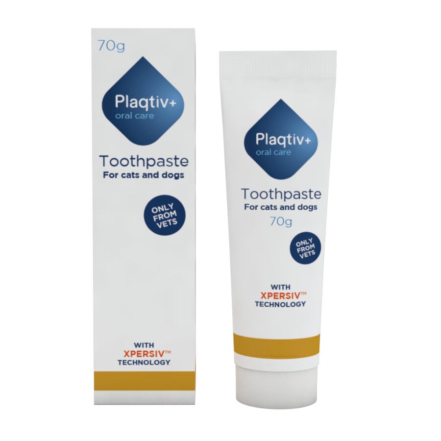 Ecuphar Plaqtiv+ pasta dent&iacute;frica para perros y gatos, , large Imagen numero 1