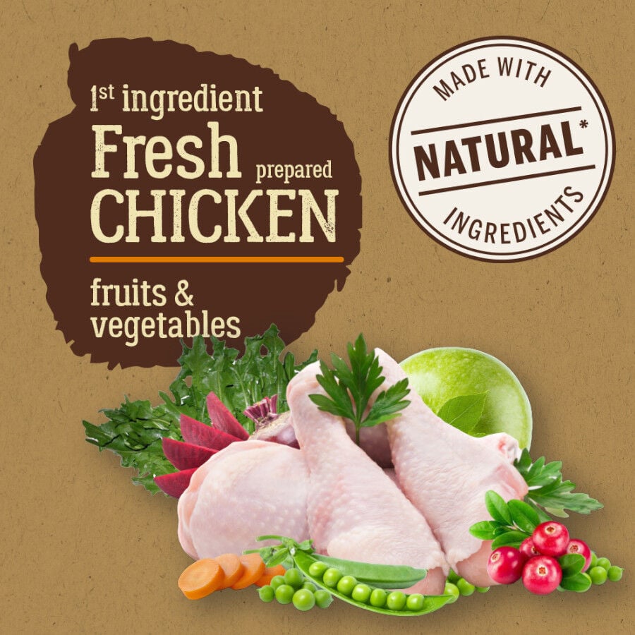 12 kg True Origins Pure Adult Maxi Pollo pienso para perros, , large Imagen numero 2