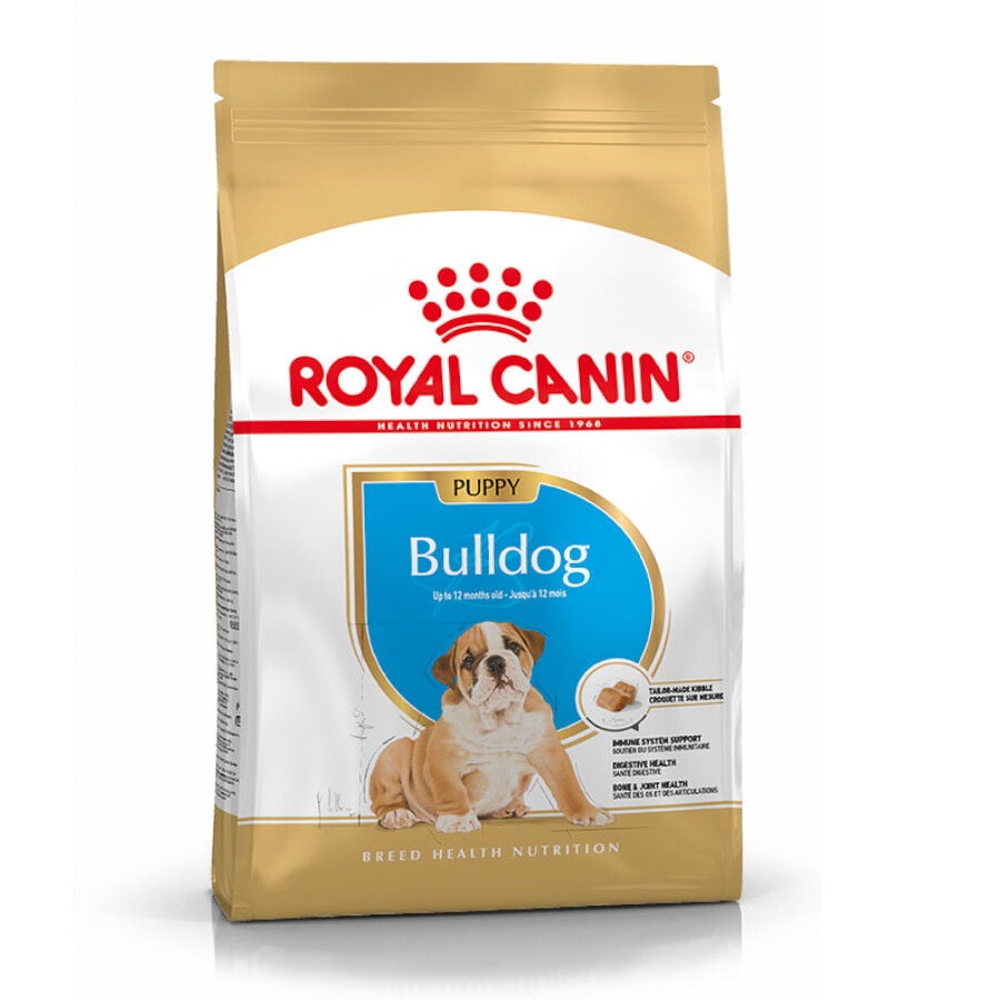 12 kg Royal Canin Puppy Bulldog pienso para perros, , large Imagen numero 2