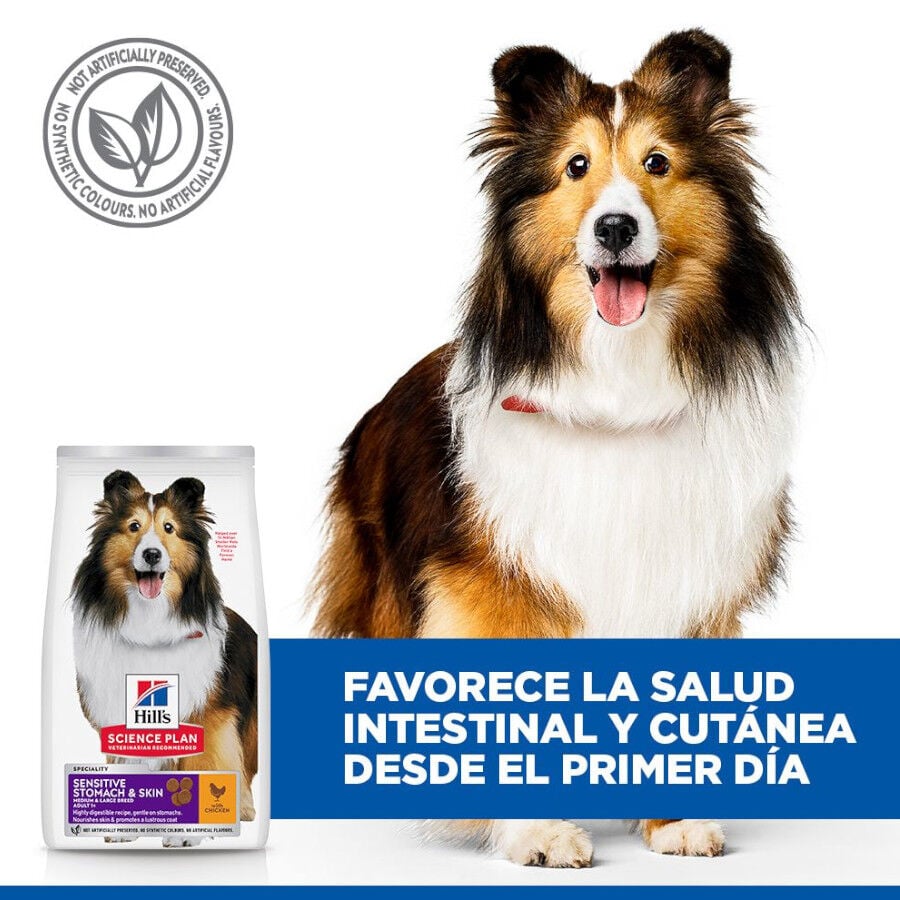 14 kg Hill's Science Plan Sensitive Stomach y skin Adult Pollo pienso para perros, , large Imagen numero 3