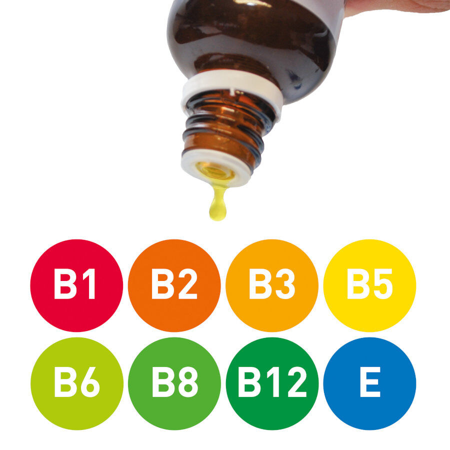 50 ml Beaphar Multivitaminas con Carnitina para perros, , large indicador imagen numero 2