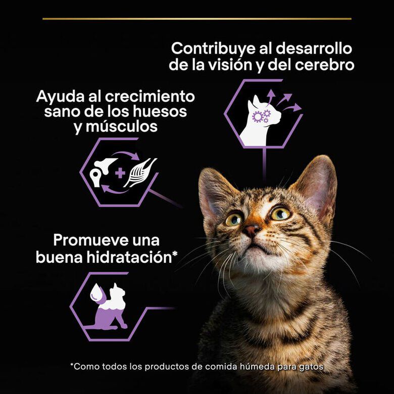 85 g Pro Plan Mousse Baby Kitten Pollo Lata para gatos&nbsp;, , large indicador imagen numero 4