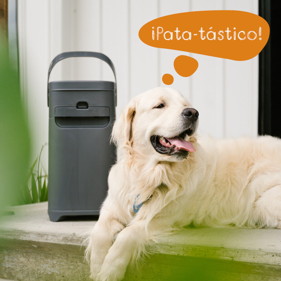 Litter Genie Laminas Recambio Excremento para perros, , large indicador imagen numero 12