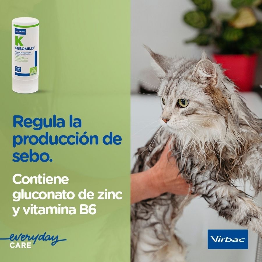 Virbac Sebomild Champ&uacute; para pieles grasas en perros y gatos, , large indicador imagen numero 4