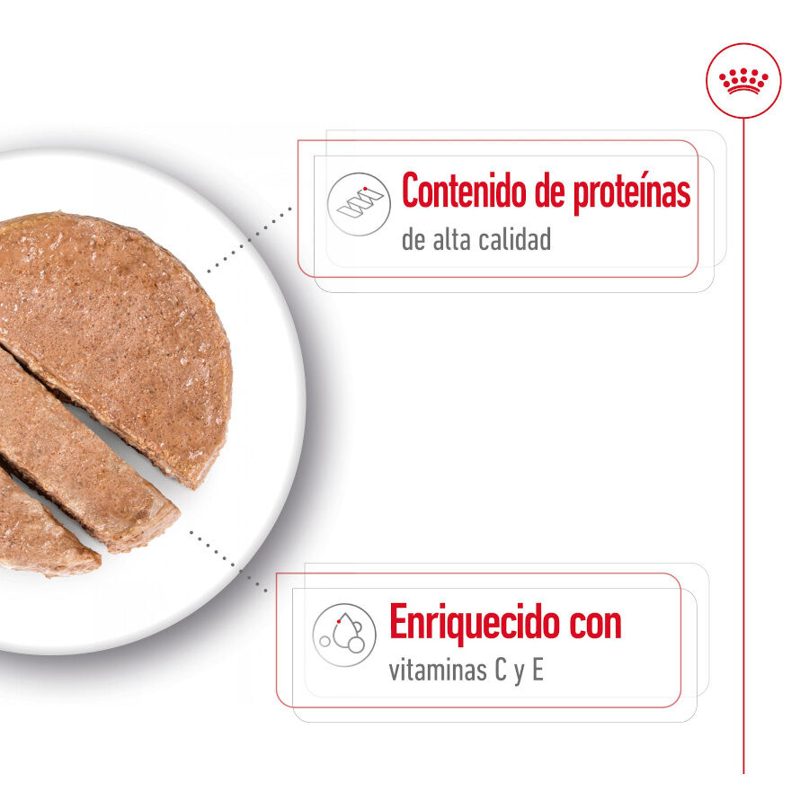 410 g Royal Canin Medium Adult Pat&eacute; lata para perros, , large Imagen numero 3