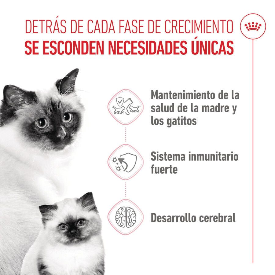 4 kg Royal Canin Mother & Babycat pienso para gatos, , large indicador imagen numero 3