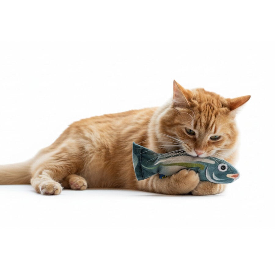 BAM! Peluche Pez con Catnip para gatos