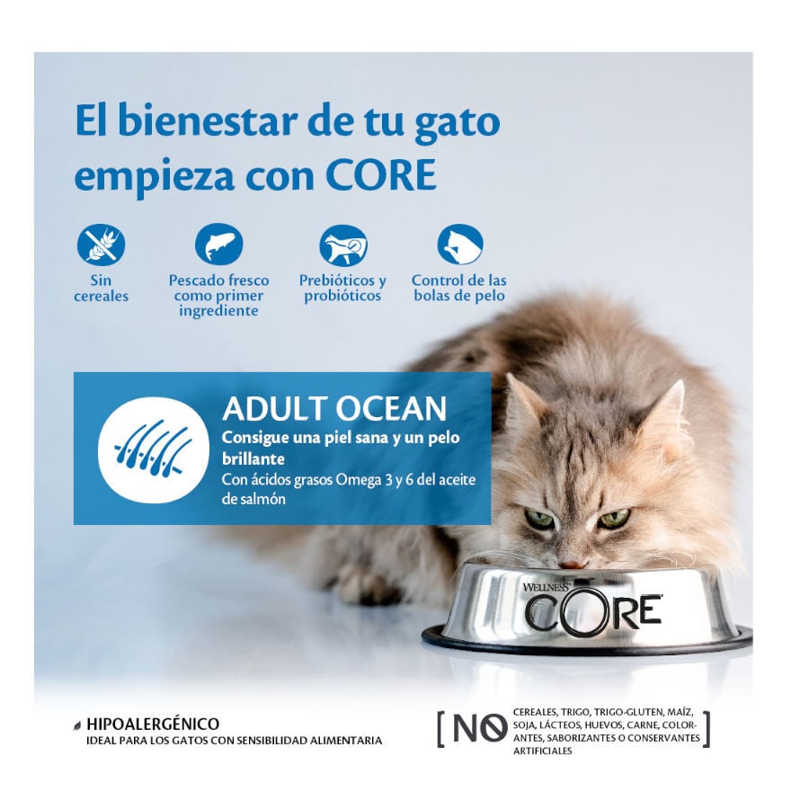 4 kg Wellness Core Adult Ocean Salm&oacute;n y At&uacute;n pienso para gatos, , large Imagen numero 2
