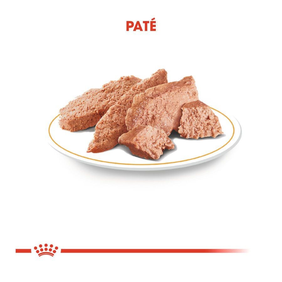85 g Royal Canin Adult Chihuahua pat&eacute; en sobre para perros, , large indicador imagen numero 5