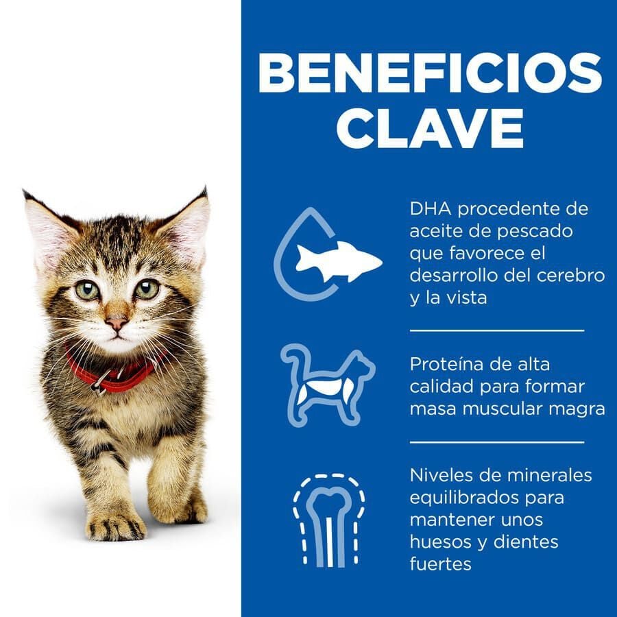 12 sobres x 85 g Hill's Science Plan Kitten Pollo y Pescado sobre para gatos , , large indicador imagen numero 3