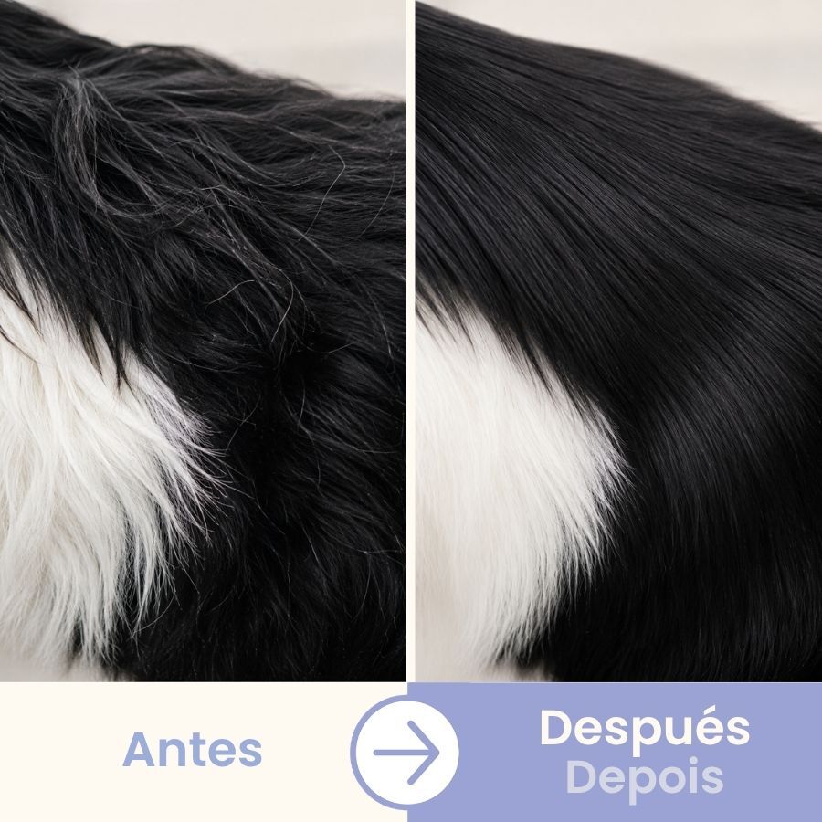 Bloob Guante de Cepillado para perros, , large indicador imagen numero 5