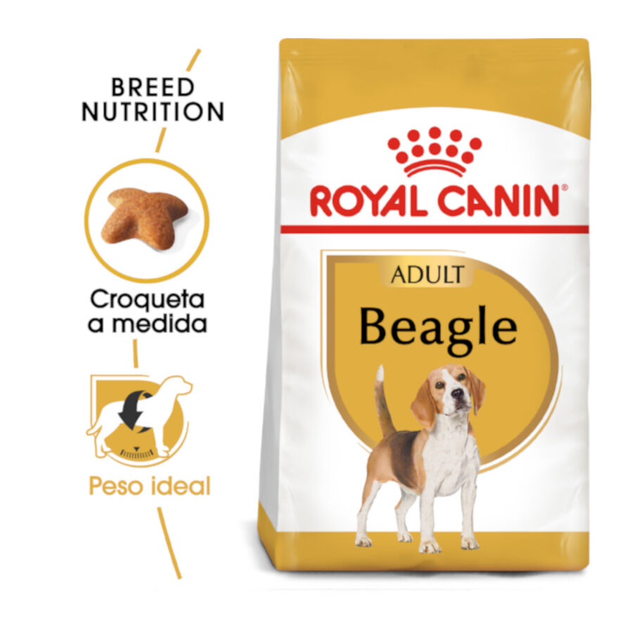 3 kg Royal Canin Adult Beagle pienso para perros, , large indicador imagen numero 2