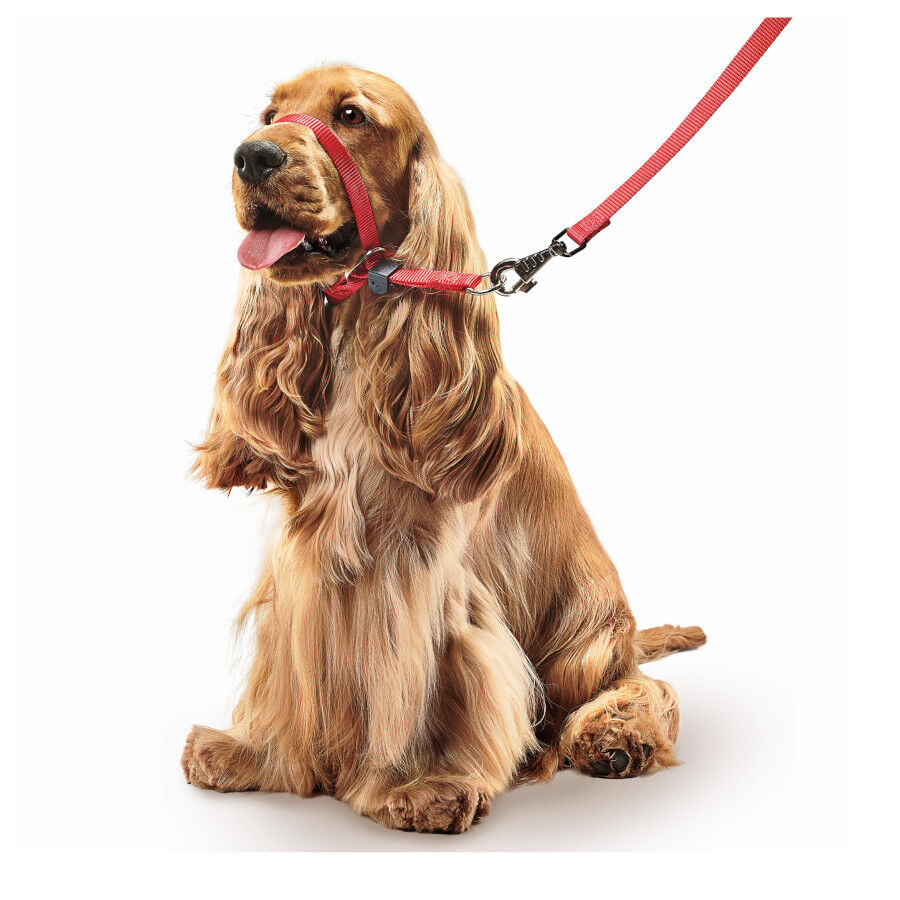 Beaphar Gentle Leader Collar de adiestramiento Rojo para perros, , large Imagen numero 2