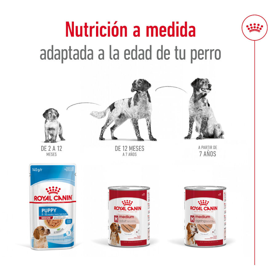 410 g Royal Canin Medium Adult Pat&eacute; lata para perros, , large Imagen numero 4