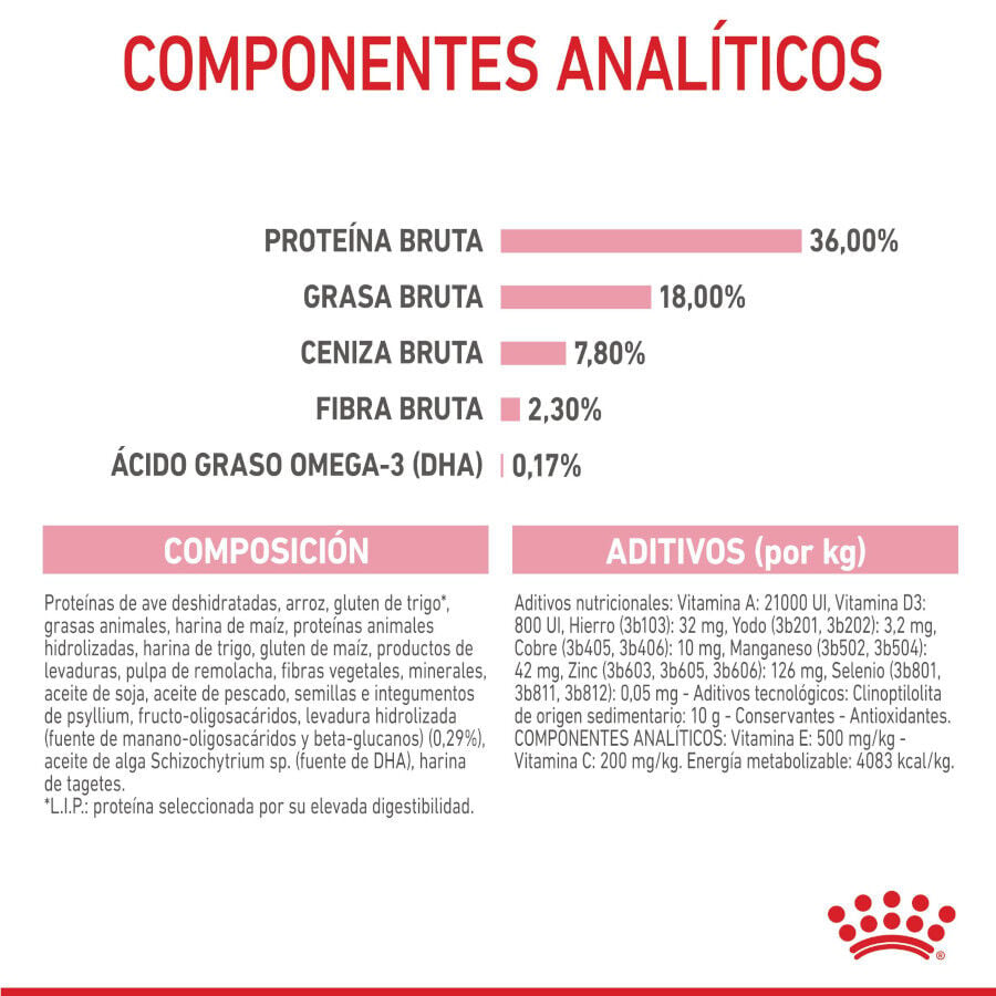 4 kg Royal Canin Kitten pienso para gatos, , large indicador imagen numero 9